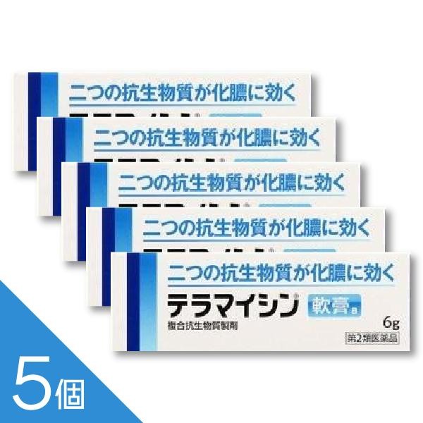 【5個】『テラマイシン軟膏a 6g』 抗生物質 化膿止め 化膿性皮膚疾患 とびひ めんちょう 毛のう炎【第2類医薬品】