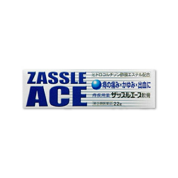 『ザッスルエース軟膏 22g』痔の痛み・かゆみ・出血に｜患部の炎症を鎮める痔疾患用軟膏【第(2)類医薬品】