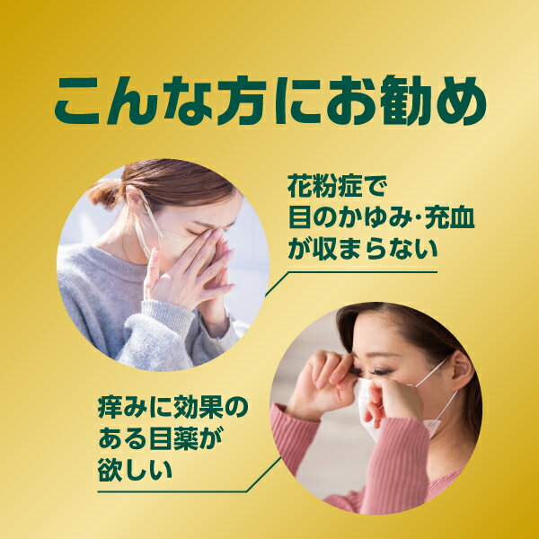 【5個】『アルシェルターEX』│目のアレルギー症状（花粉・ハウスダストなど）に│抗アレルギー・抗炎症成分配合【第2類医薬品】