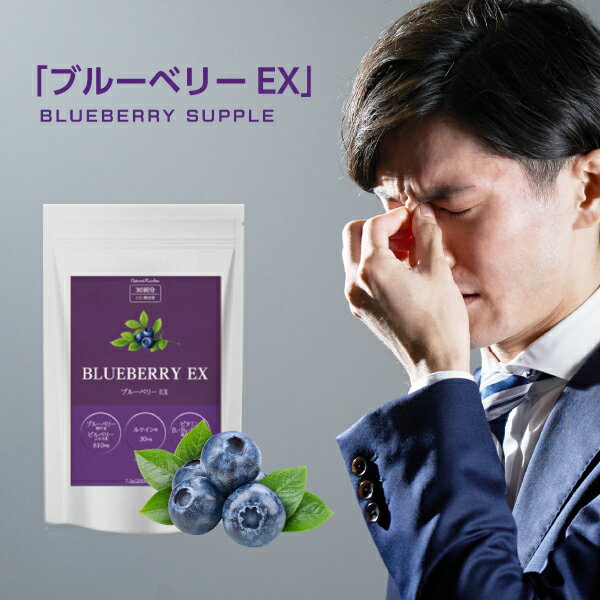 【ルテイン&ビルベリー配合】『ブルーベリーEX 30粒』【ビタミンB群配合】