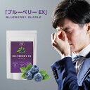 【ルテイン ビルベリー配合】『ブルーベリーEX 30粒』【ビタミンB群配合】