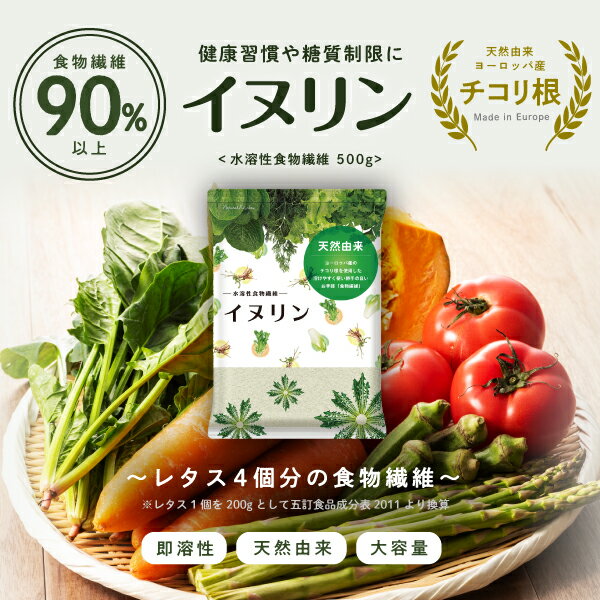 【天然由来】『水溶性食物繊維 イヌリン 500g』【レタス4