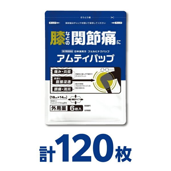 【6枚入x20個】 フェルビナク70mg 配合 大判パップ 湿布薬 10×14cm ｜肩 腰 ひざの関節痛に｜冷感タイプ 『アムティパップ』【第2類医薬品】