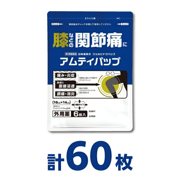 【6枚入x10個】 フェルビナク70mg 配合 大判パップ 湿布薬 10×14cm ｜肩・腰・ひざの関節痛に｜冷感タイプ 『アムティパップ』【第2類医薬品】