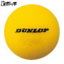 ダンロップ スポーツ スポンジYL ショート用スポンジボール SPNGE2YL6BOX FREE COLOR DUNLOP ユニセックス テニス