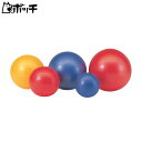 エバニュー ジムボール45 ETB622 FREE COLOR EVERNEW ユニセックス シューズ ウェア スポーツ用品