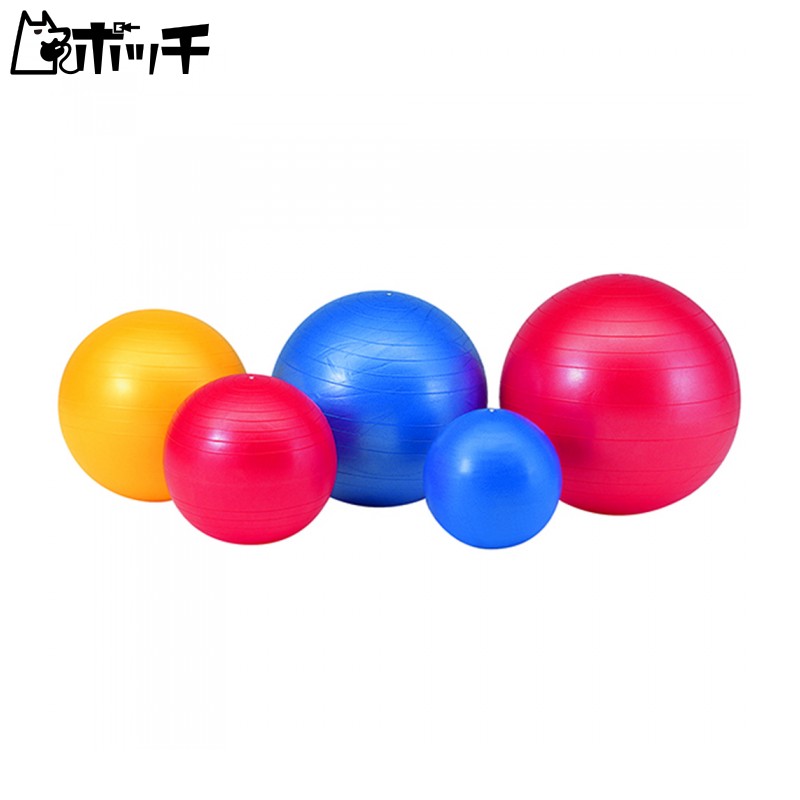 エバニュー ジムボール75 ETB625 FREE COLOR EVERNEW ユニセックス シューズ ウェア スポーツ用品