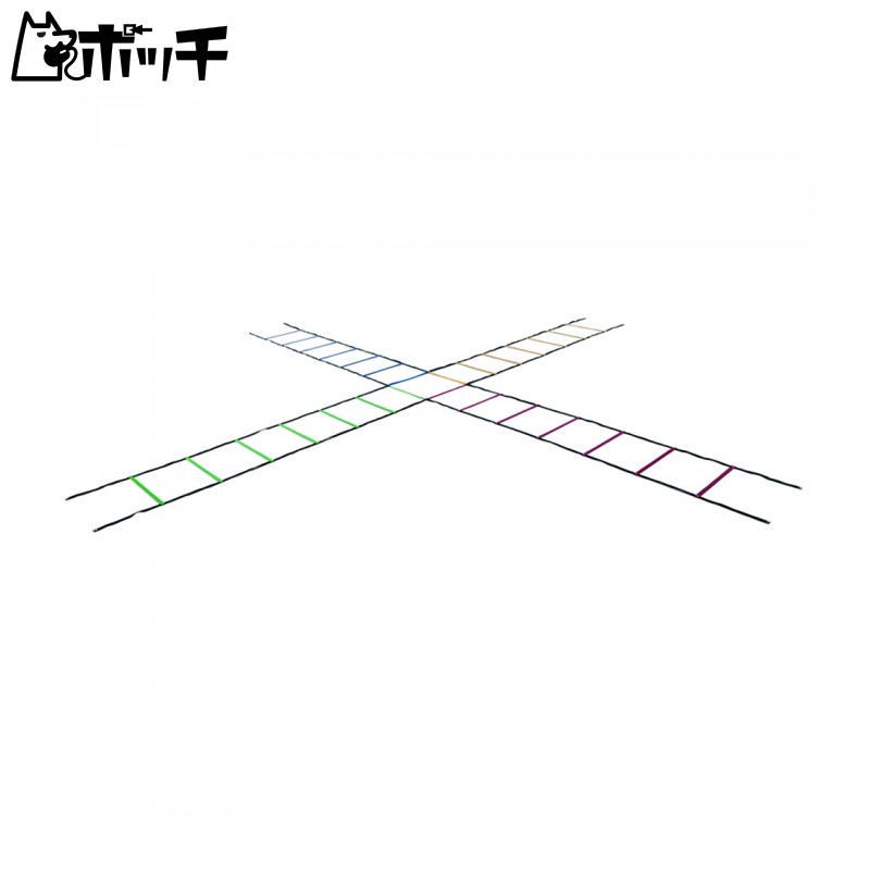 エバニュー 4色マルチラダーロープ ETE063 FREE COLOR EVERNEW ユニセックス シューズ ウェア スポーツ用品