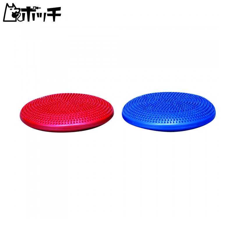 Х˥塼 Х󥹥å ETB616 100 EVERNEW ˥å 塼  ݡ