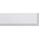 ARTEC 画用紙 8切 (#150 100枚) ATC11252