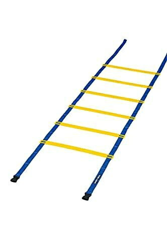 トーエイライト TOEI LIGHT G1271 スピードラダーHG40-6M 学校機器