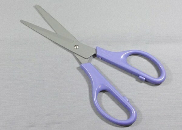 ˥åʪ եǥȤϤ 170mm NS-50