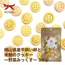 岡山県産平飼い卵と米粉のクッキー ~野菜みっくす~ 30g OCファーム 18000943