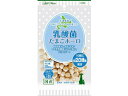 乳酸菌入りたまごボーロ 50g 1商品のみ