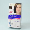 無香料ヘアカラー サロンドプロ 6 ダークブラウン