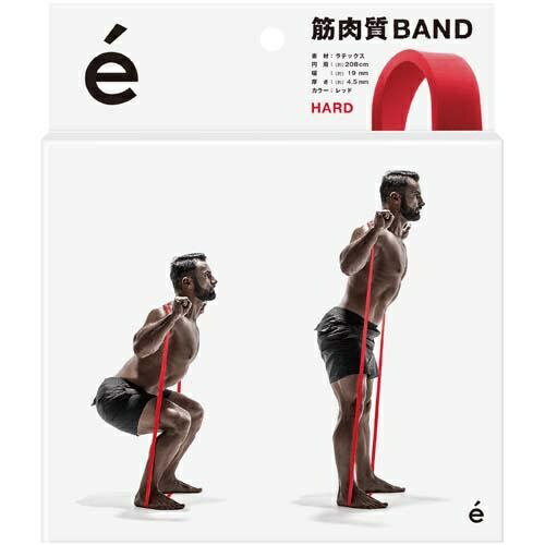 SAKURAI erugam(サクライ エレガム) 筋肉質バンド ハード
