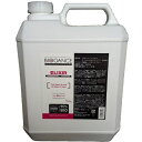 プロフェッショナルユニバーサルシャンプーELIXIR 4L