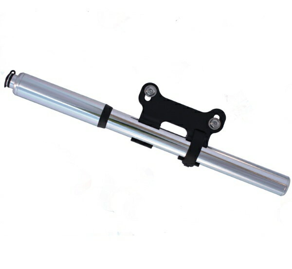 NHP-001 ポリッシュシルバー