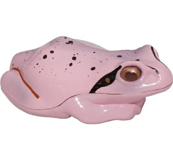 I live light(アイリブ) 蛙 ゴマ桃 R