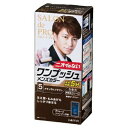 サロンドプロ ワンプッシュメンズカラー(白髪用) 5<ナチュラルブラウン>