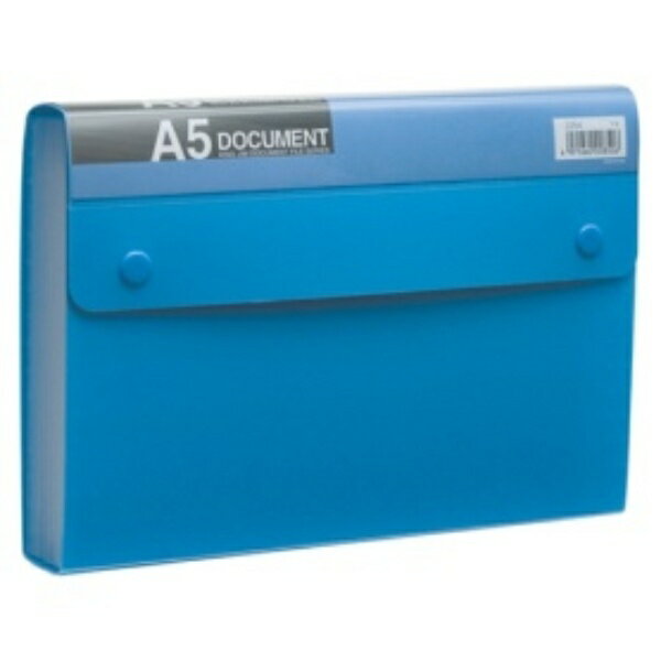 キングジム ドキュメントファイル（エコノミータイプ） PP表紙 A5 13ポケット 青 2254 1冊