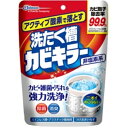 ジョンソン アクティブ酸素で落とす洗たく槽カビキラー（非塩素系） 250g 1個