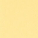 リンテック ニューカラーR 四つ切 こいクリーム 4NCR−122 1パック(100枚)