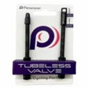 チューブレスバルブ TLV-80-B 80mm 2本セット+キャップ1個 28207112