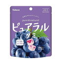 カバヤ食品 ピュアラルグミ ぶどう 58g 入数:1個(4)