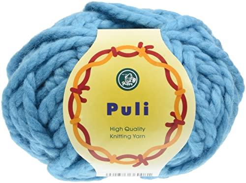 パピー プーリー 毛糸 超極太 108 水色 系 50g 約25m 10000360
