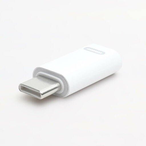 Lightning to Type-C 変換アダプタ ライトニング から USB C に変換できるアダプタ 高速充電 USB-C Android iPhone15 急速充電 データ転送 iPad type c USB C タイプC イヤホン・アクセ... Lightning to Type-C 変換アダプタ ライトニング から USB C に変換できるアダプタ 高速充電 USB-C Android iPhone15 急速充電 データ転送 iPad type c USB C タイプC イヤホン・アクセ...