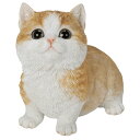 ウービア お座りマンチカン 茶ぶち 16×11×14cm 人形 フィギュア 置き物 アニマル 動物 ガーデン 装飾 ネコ H24087-1(3)