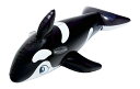 イガラシ ミニシャチフロート(ブラック) 130×83cm FRB-179V(3)