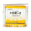 トロミーナ レギュラータイプ/2g×50本