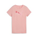 ESS LOGO LAB Tシャツ 25年春夏カラー ピンク フルーツ(18) サイズ:L(4)