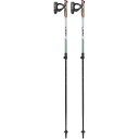レキ(LEKI) アウトドア 登山 ノルディックウォーキング スピン シャーク SL 1300479 グリーン