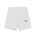 PUMAFTBL TRAVEL ハーフパンツ 25年春夏カラー フェザー グレー(33) サイズ:XXL