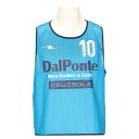 DalPonte(ダウポンチ) メンズ サッカー フットサル 昇華ビブス10枚セット サックス(SAX) フリーサイズ DPZ124