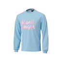 ブラックナイト(blackknight) バドミントンウェア ドライロングTシャツ ロングスリーブ T-4202U-LBLU (ライトブルー/L/Men's、Lady's)