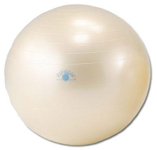 ダンノ(DANNO) ギムニクフィットボール D5920 55cm