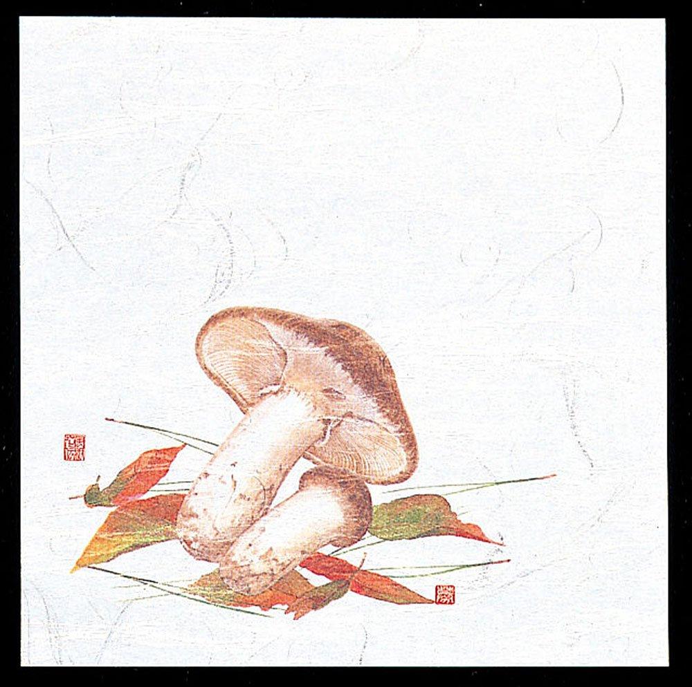 ヤマコー 用美 雲竜和紙PP貼合せ 4寸OP懐石敷紙 松茸 100枚 約12x12cm 65118