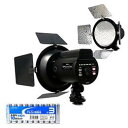 LPL LEDトロピカル + アルカリ乾電池 単3形10本パックセット VLG-2160S+HDLR6/1.5V10P