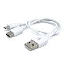 日本トラストテクノロジー microUSB&TypeC 2台同時充電対応ケーブル (ホワイト) JSC-010WHX10 10個セット(2)