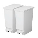新輝合成 トンボ ネオカラー ゴミ箱 スリム 軽いペダルでサッと開く 20リットル 2個セット ホワイトグレー 幅20×奥行35.5×高さ45cm 蓋付き 分別 日本製