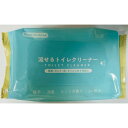 ペーパーテック 流せるトイレクリーナー 厚手 ミントの香り 24枚入