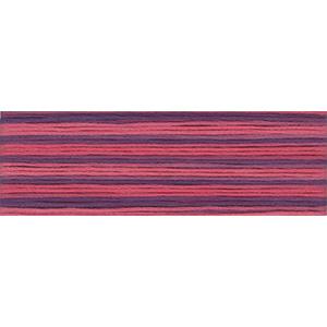 COSMO 刺しゅう糸 25番 シーズンズ 8062