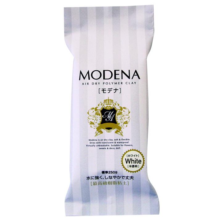 パジコ 樹脂粘土 モデナホワイト 250g 白 日本製 303109