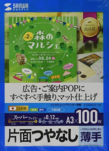 掠ץ饤󥯥åѥѡեѻA3100ꡡJP-EM5NA3-100