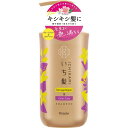 いち髪 【 ダメージリペア & カラーケア 】 シャンプー ポンプ 480ml | ノンシリコン アミノ酸シャンプー ヘアケア ダメージケア 色落ち防止 メンズ レディース