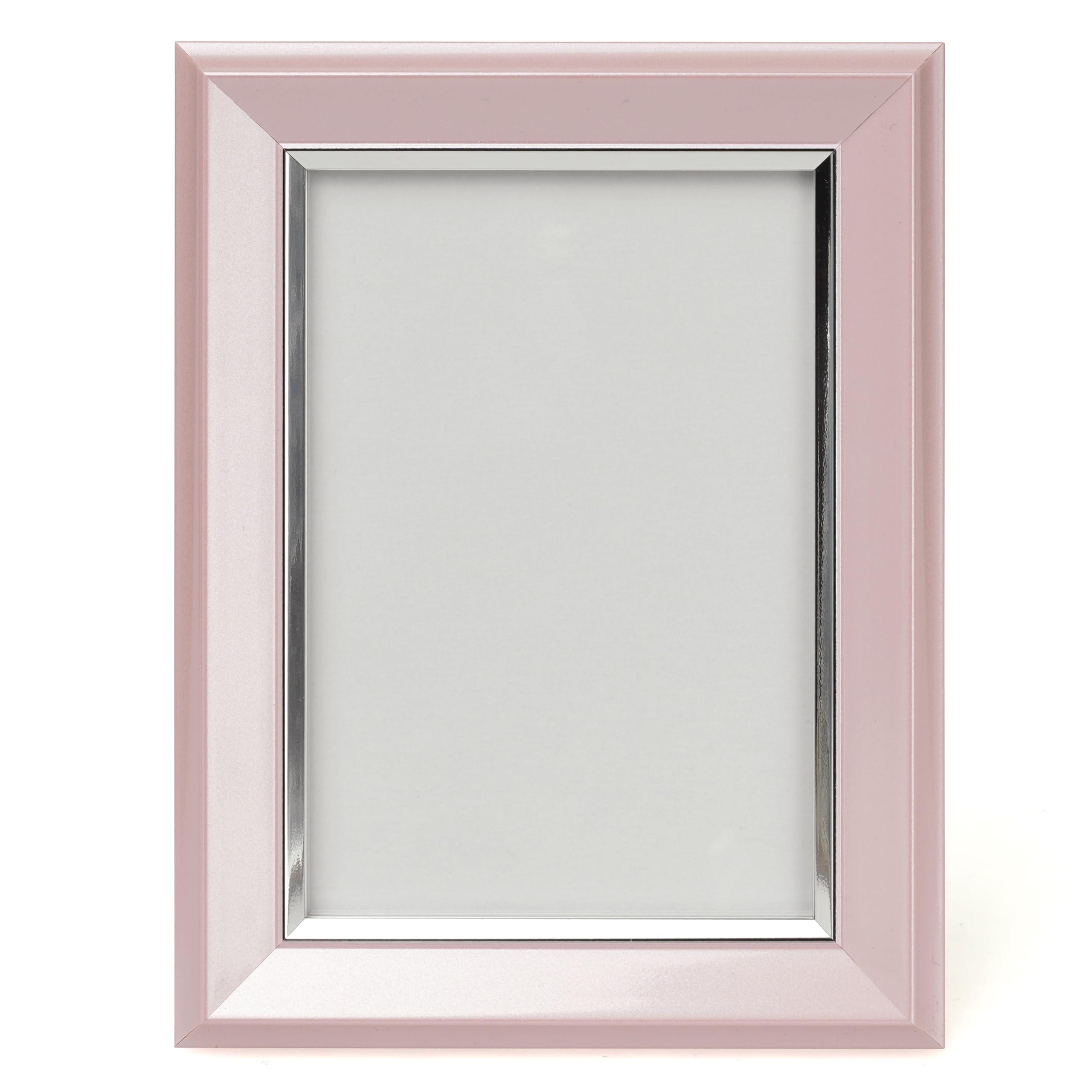 Kenko カラー遺影額縁 L ピンク スタンド付 樹脂製 PS-JIR-L-PK